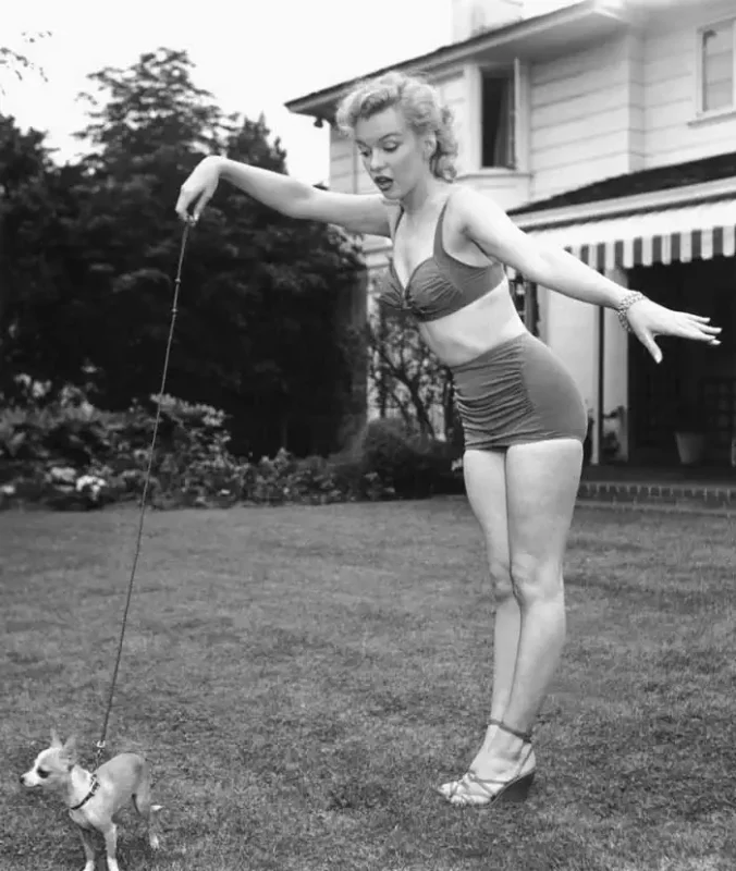 Marilyn Monroe con un Chihuahua
