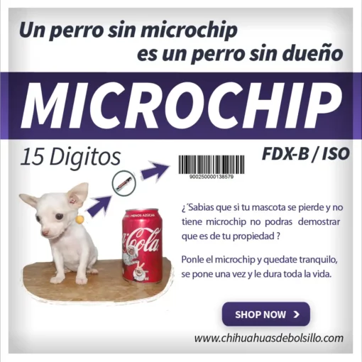 microchip FDX-B